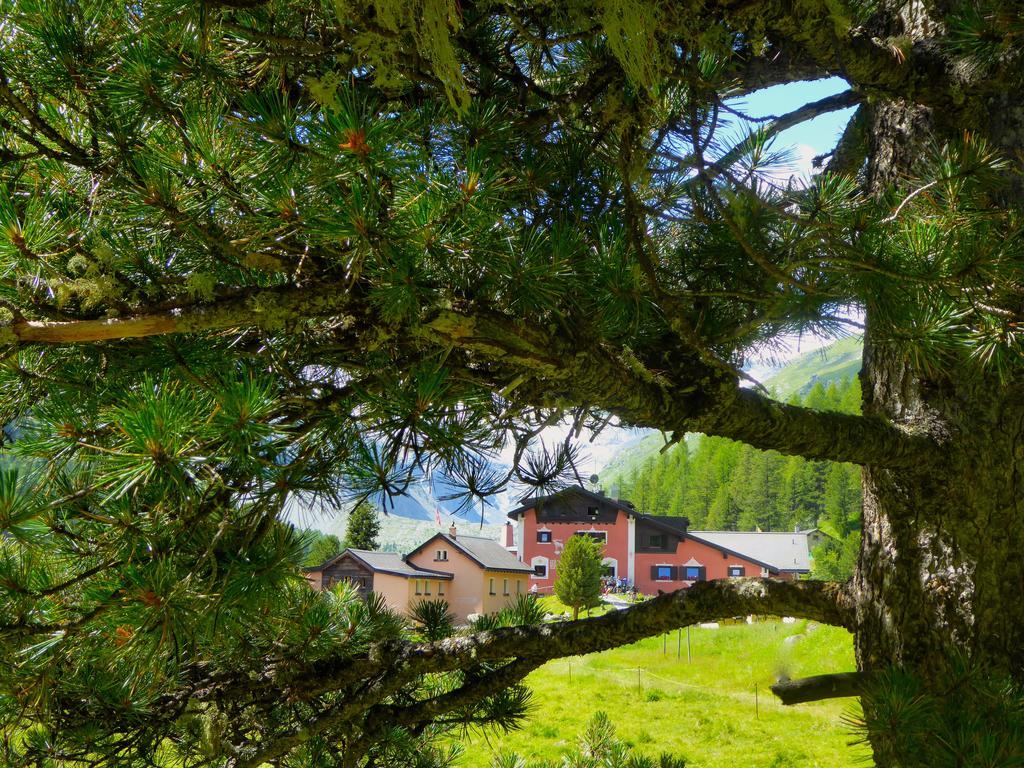 Roseg-gletscher 3* Pontresina