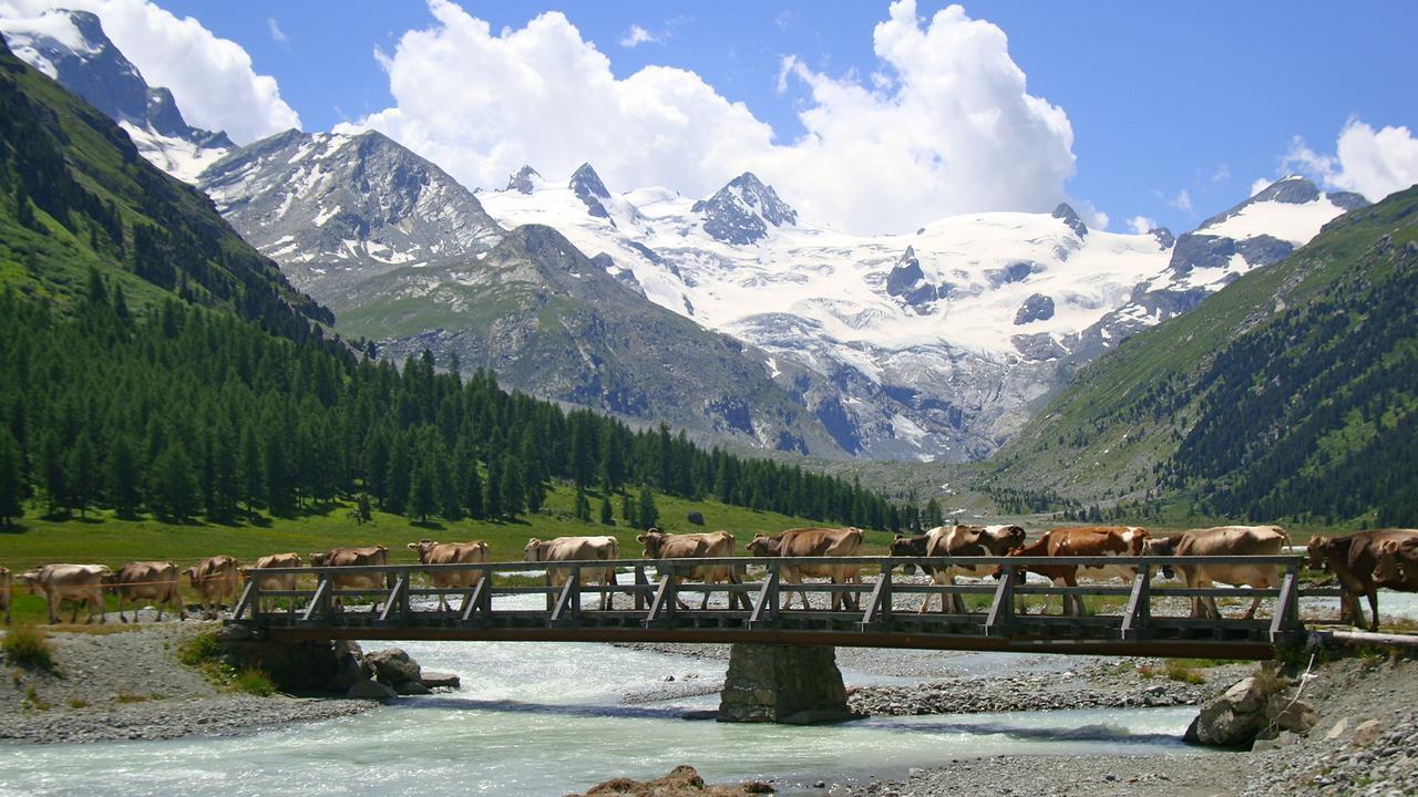 Roseg-gletscher Hotel